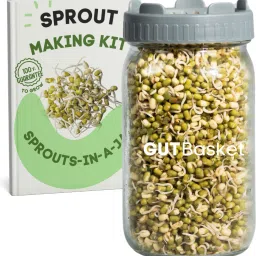 Glass Sprout Maker- 1000 ml-image-3