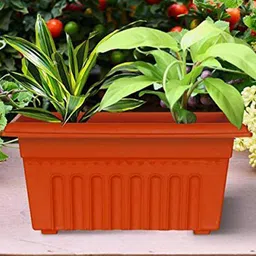TRUSTBASKET 12-Pcs Brown Rectangular Planters-2