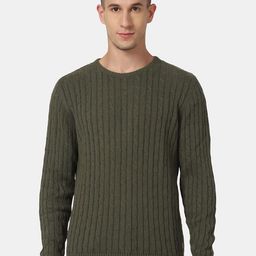 Blackberrys Men Green Striped Pullover-picture-12
