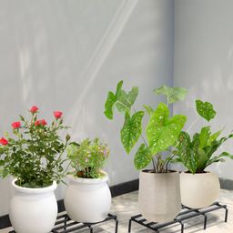 TRUSTBASKET Black 2 Pieces Metal Planter Stand-53