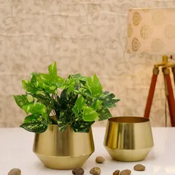 HomeShastra Gold Toned 2 Pieces Glossy Metal Planter-picture-15