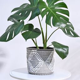 UGAOO Grey & White Self Designed Cotton Planter-15