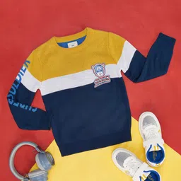 Pantaloons Junior Boys Colourblocked Acrylic Pullover-image-81