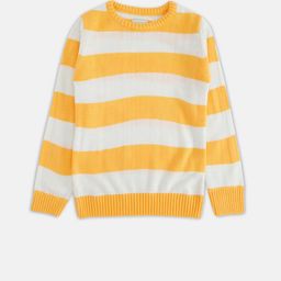 Pantaloons Junior Boys Yellow & White Striped  Colourblocked Pullover-image-96