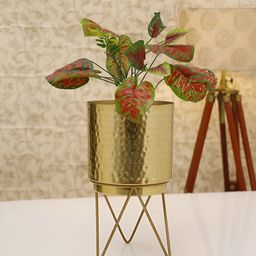 HomeShastra Elle Gold Toned Textured Metal Planter With Stand-image-28