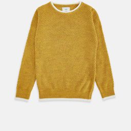Pantaloons Junior Boys Yellow & White Ribbed Solid  Pullover-picture-7