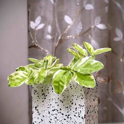 POSH-N-PLUSH White Marble design Square-Shaped Terrazzo Planter-27
