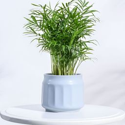 UGAOO Grey Textured Ceramic Pot-12