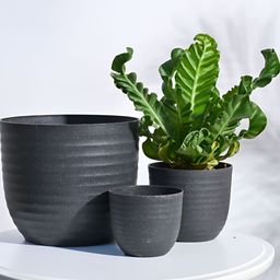 UGAOO 3 Pieces Black Verona Eco-Friendly Indoor Pot-image-19