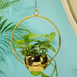 TRUSTBASKET Gold Toned 2 Pieces Lunar Eclipse Metal Hanging Planter-image-69