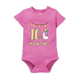 Zeezeezoo Infants Printed Pure Cotton Bodysuit-picture-22