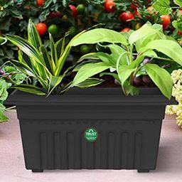 TRUSTBASKET 3-Pcs Black Rectangular Planters-35