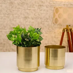 HomeShastra Dew Gold Toned 2 Pieces Glossy Metal Planter-picture-35