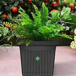 TrustBasket 6-Pcs Black Textured UV Treated Square Planters-22