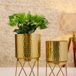 HomeShastra Elle Gold Toned 2 Pieces Textured Metal Planters with Stand-picture-26