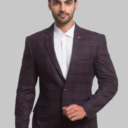 Park Avenue Men Checked Single Breasted Blazers-43