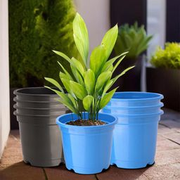 Kuber Industries 8 Pcs Black & Blue Lightweight Planters-39