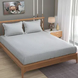 Bromwick Grey Striped Cotton210 TC Queen Bedsheet with 2 Pillow Covers-image-99