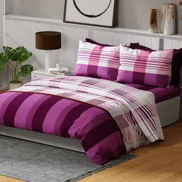 United Colors of Benetton Rainbow Purple Pure Cotton 144 TC King Bedsheet & 2 Pillow Cover-picture-23