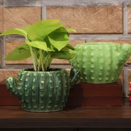 Leafy Tales Green Cactus Shaped Ceramic Planter-58