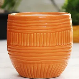 Leafy Tales Orange & Blue 3 Pieces Honeycomb Shape Ceramic Planter-46