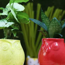 Leafy Tales Red Textured Ceramic Planter-image-30
