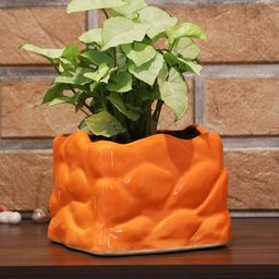 Leafy Tales Orange Mystic Shape Ceramic Planter-18