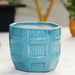 Leafy Tales Blue 2 Pieces Ceramic Planter-12