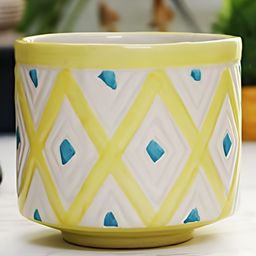 Leafy Tales Yellow & White 2 Pieces Ceramic Planter-16