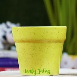Leafy Tales Yellow Stone Shape Ceramic Planter-21