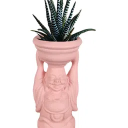 LASAKI Pink Textured Laughing Buddha Shape Ceramic Planters-image-84