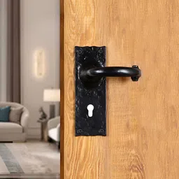 Two Moustaches Black Iron Door Handle with Plate-42