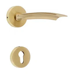 Indianshelf Gold Toned Modern Style Mortise Handle Set-image-46