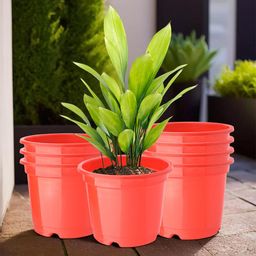 Kuber Industries Red Set Of 8 Plastic Planters-18