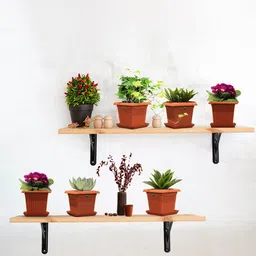 TRUSTBASKET Brown 12 Pieces Sqaure Planters with Saucers-image-49