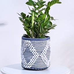 UGAOO Trinket Blue & White Cotton Planter-image-52