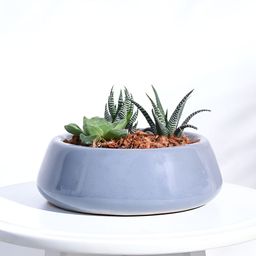 UGAOO Grey Tulip Fantasy Ceramic Pot-picture-32