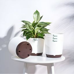 UGAOO Krish White & Brown 5-pcs Self-Watering Planters-11