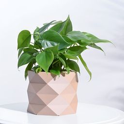 UGAOO Faceted Brown Wooden Planter-33