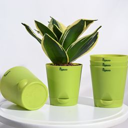 UGAOO Krish Green 5-pcs Self-Watering Planters-37