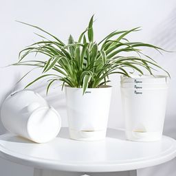 UGAOO White 5 Pieces Self Watering Planters-26