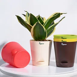 UGAOO Red & Green 5 Pieces Self Watering Planters-57