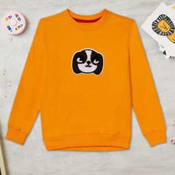 ZION Boys Yellow Cotton Embroidered Sweatshirt-image-32