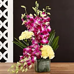 Yellow Carnations & Orchids In Vase-35