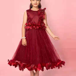 Aarika Girls Embellished Ruffled Net Fit & Flare Dress-image-61