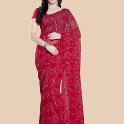 Rani Saahiba Bandhani Printed Saree-picture-23