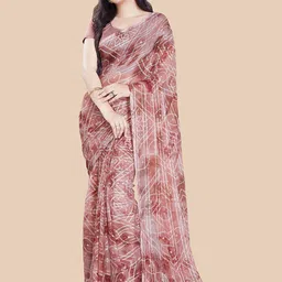Rani Saahiba Bandhani Saree-picture-24