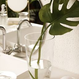 Pure Home and Living Transparent Glass Vases-image-23