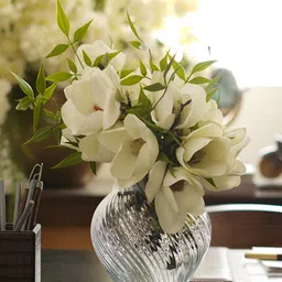 Pure Home and Living  Transparent Glass Vases-23