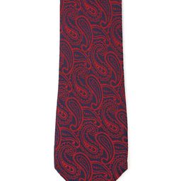 Peter England Men Red & Navy Blue Paisley Woven Design Broad Tie-image-23